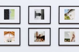 Bilder Medienportal