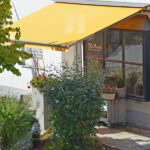 Gelenkarmmarkise mit Motor